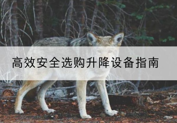 洛阳升降货梯厂家推荐-*安全选购升降设备指南