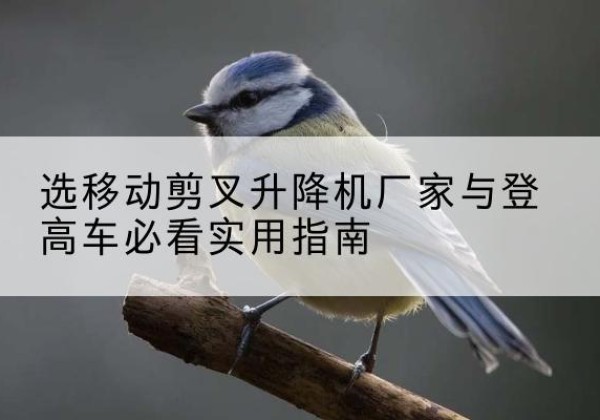 洛阳电动升降机厂家-选移动剪叉升降机厂家与登高车必看实用指南