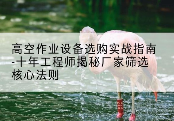 洛阳剪叉式升降机厂家-高空作业设备选购实战指南-十年工程师揭秘厂家筛选核心法则